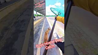 Boys Hostel Dog Catch In Davangere #dog #ytviral #dogwithpublicsafety #shortsfeed #catch