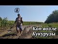 ПОИСК МОНЕТ МЕТАЛЛОИСКАТЕЛЕМ ПО ПОЛЮ ВДОЛЬ КУКУРУЗЫ. КОП 2021. НАХОДКИ С ФОРТУНА ПРО 2