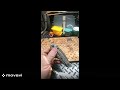 Kershaw Iridium Custom