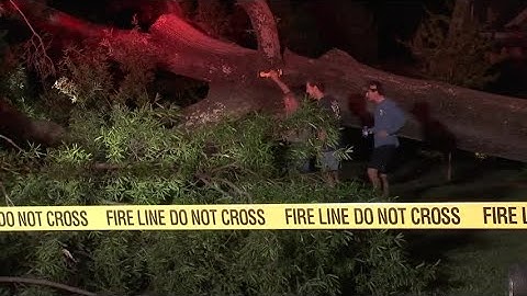 RAW VIDEO: Tree blocks Dixie Trail in Raleigh, power lines also down
