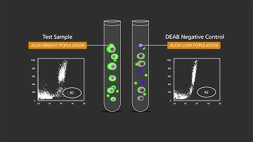 How ALDEFLUOR™ ALDH Assay Kit Detects Normal and Cancer Progenitor Cells