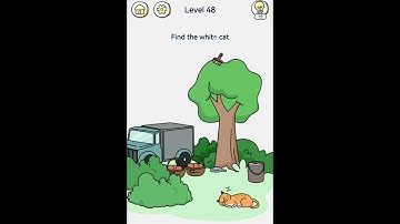 Brain out 2 level 48