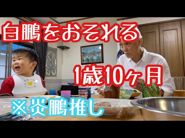 育児系youtubeチャンネル 見る前に跳べ の ゆうくん が2歳の誕生日を迎える そのかわいさに悶絶する人続出中 Appbank 育児系youtubeチャンネル 見る前に跳べ の ゆうくん が2歳の誕生日を迎える そのかわいさに悶絶する人続出中 Appbank