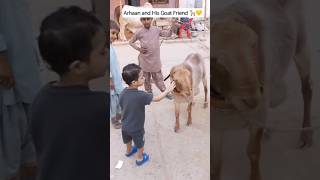 Arhaan and His Goat Friend 🐐💛 | Arhaan's Little World😋 #shorts #goatlove #viralvideo