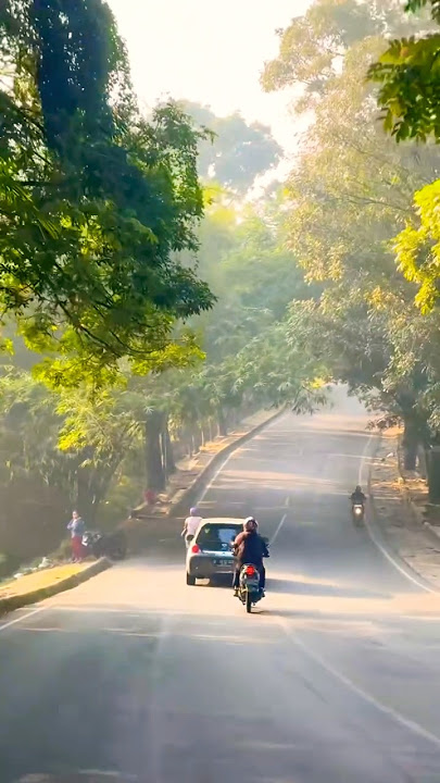 Rindu kampung halaman #subangselatan #shorts #tanjungsiang #kasomalang #cisalak #jalancagak