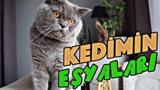 Kedimin Tüm Eşyaları. Hangi Kedi Malzemelerini Kullanıyorum? Kedim konuşuyor | Kedi Videoları | Vlog