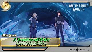 Celebrity Side Quest: A Snowbound Order from Cobalt Blue | Wuthering Waves Net Worth