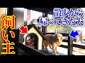 散歩から帰ってきた時に犬小屋の中に飼い主がいたら？【ドッキリ】