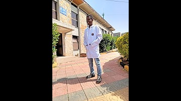 Categorical Proposition A  E  I  O   Venn Diagrams