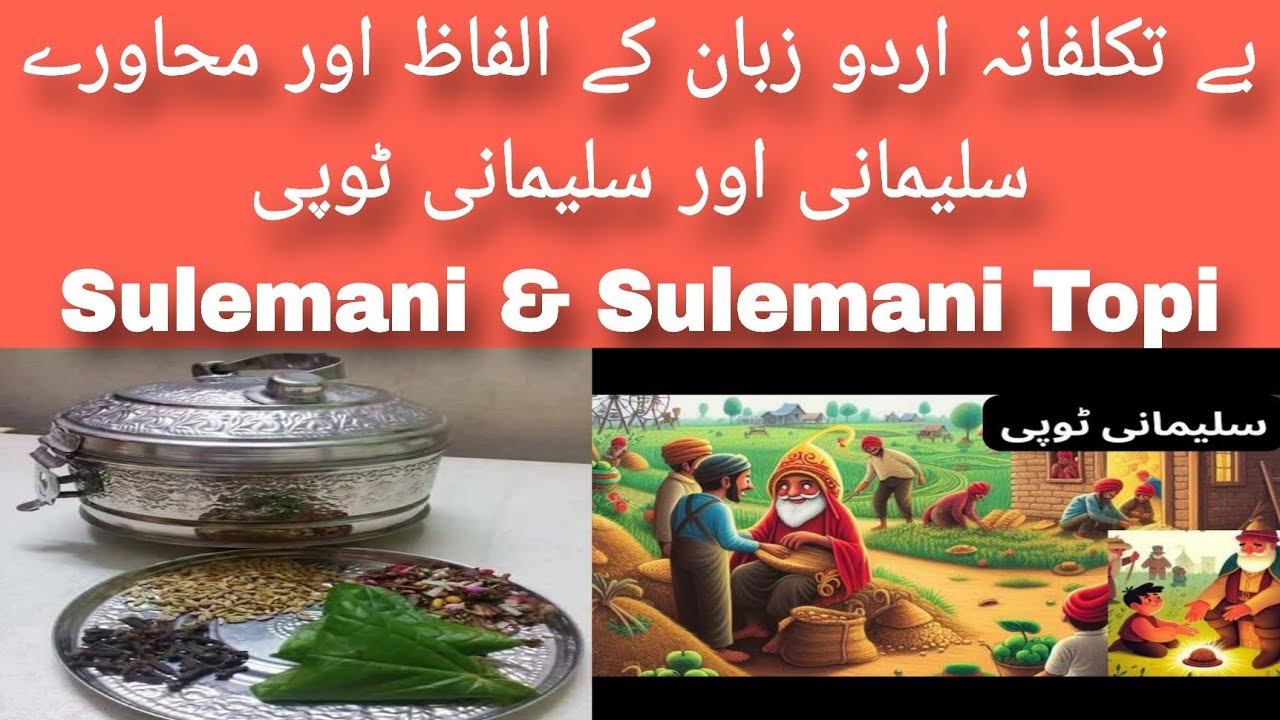 Urdu Slang Words & Pharses # 4 | سلیمانی اور سلیمانی ٹوپی | Sulemani & Sulemani Topi.