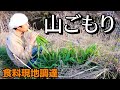 2泊3日の山籠もりソロキャンプ生活①～標高1000mの地で食材探し～