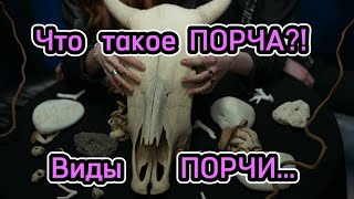 Что такое ПОРЧА! Какие бывают виды ПОРЧИ! Полный разбор!