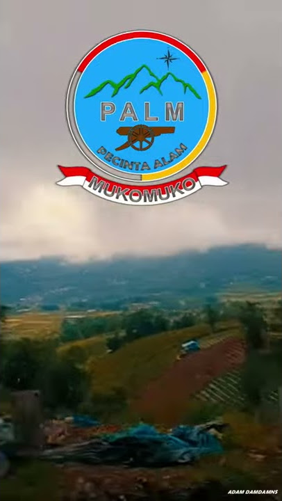 Story WA Bocah Petualang