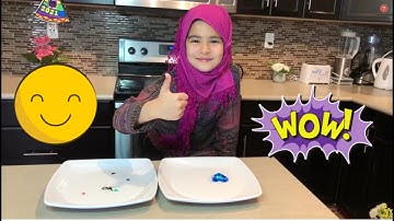Fun Science Experiment: Watch the Magic Dry Erase Drawings Float in Water // S12: Educational Video