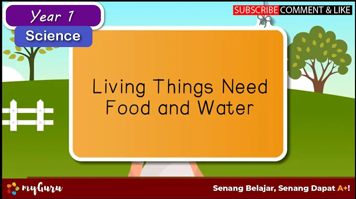 Year 1 | Science | Living Things Need Food and Water - DayDayNews
