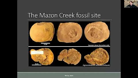 Dr. Victoria McCoy: Mazon Creek Fossils