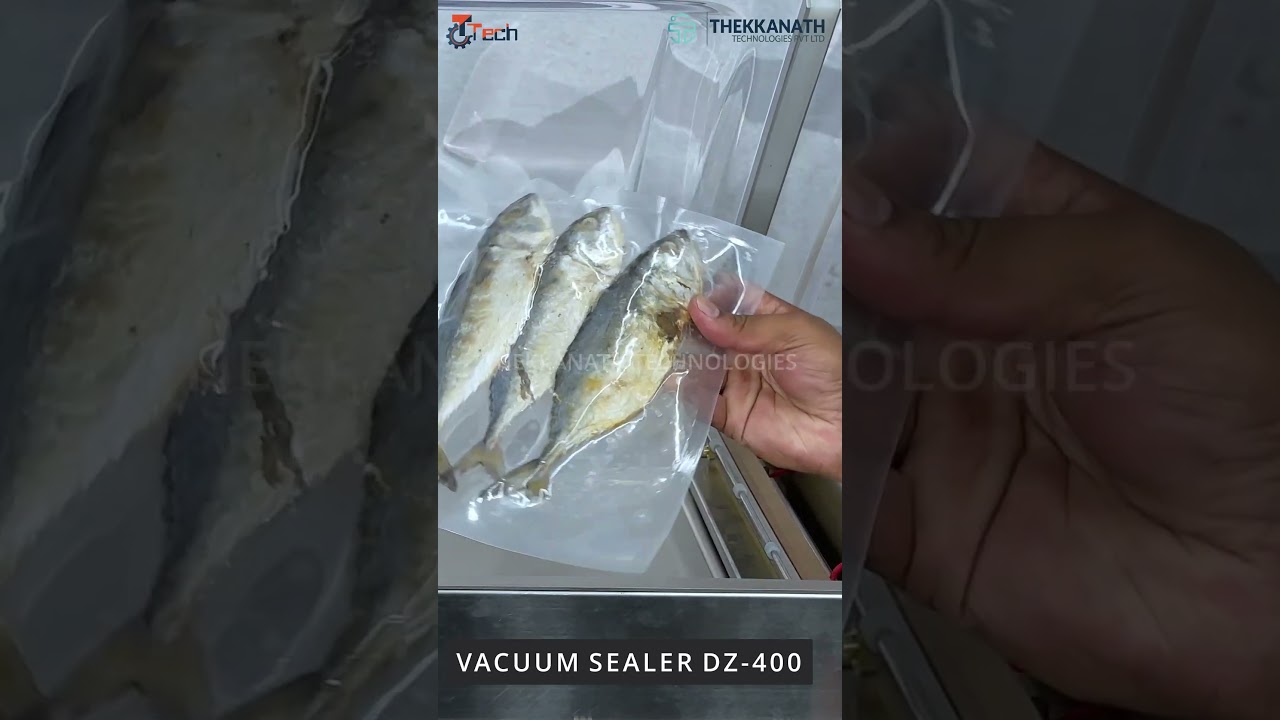 Vacuum Sealer Packaging Machine DZ 400  l  Vacuum Sealing  l  Meat, Fish, Food Packing