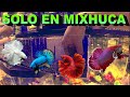 Montando BETTERA de acrílico en el MERCADO e los PECES