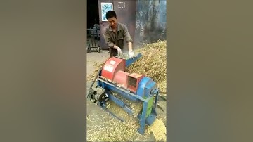 Multi-function Sheller of DNY-110 | Corn Sheller Maize Shellers Mini Maize Thresher Machines