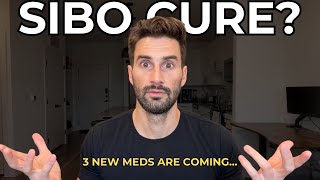 Breaking: New SIBO Research from Dr. Pimentel (2025 Update)