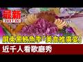 屏東黑鮪魚季「美食推廣宴」 近千人看歌廳秀【最新快訊】