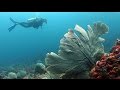 Parque Nacional de Coiba