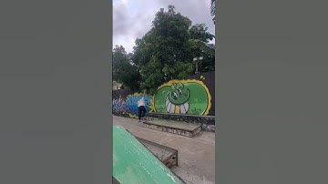 Frontside Nosegrind, 2024