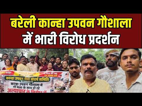 Bareilly News: बरेली में गौशाला के नाम पर लापरवाही? भड़के गौ सेवकों ने दी चेतावनी!