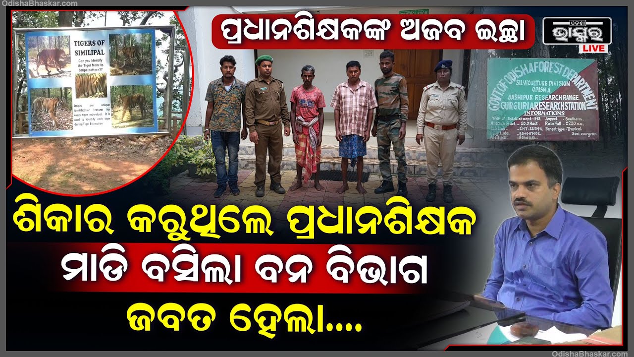 ପ୍ରଧାନଶିକ୍ଷକଙ୍କ ଅଜବ ଇଚ୍ଛା...ପାଠ ପଢେଇବା ଛାଡି ଜଙ୍ଗଲରେ କରୁଥିଲେ ଶିକାର ମାଡ଼ି ବସିଲା ବନ ବିଭାଗ