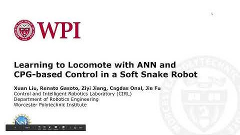 Learning to Locomote with ANN and CPG-based Control in a Soft Snake Robot (presentation)