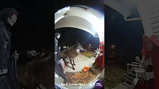 Little Red Riding Hood And The Wolf.