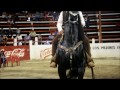 10° Campeonato Nacional de Caballos Bailadores, Puerto Vallarta  - Noviembre 2016