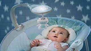 ingenuity zoo zoo zebra