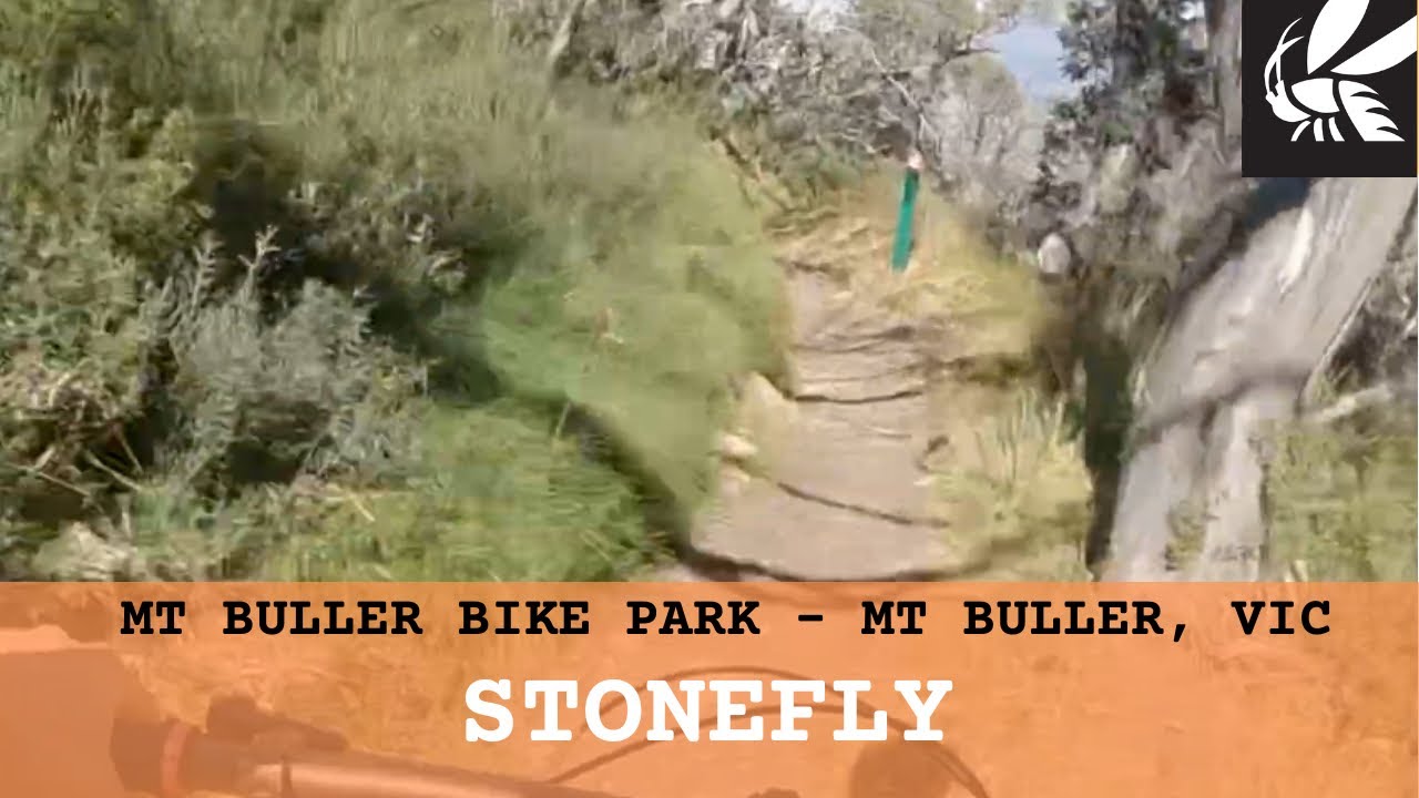 Mount Buller - Stonefly