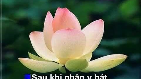 Tôn Giả Ma Ha Ca Diếp - " Đầu Đà Đệ Nhất "  - Karaoke (Nhạc chế lời)