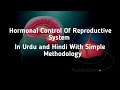 Hormonal Control Of The Male Reproductive System|In Hindi And Urdu