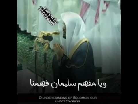 اللهم يا معلم إبرهيم علمنا ويا مفهم سليمان فهمنا