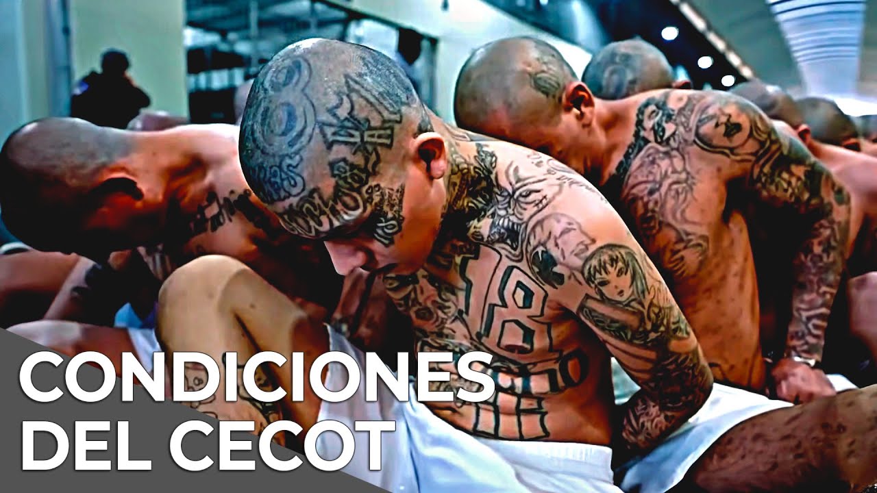 Dentro del CECOT la prisión más grande de Latinoamerica | Documental Completo en Español