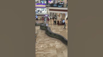 Gaint Anaconda Snake in Mall 🐍🔥 #snake #shorts #vfx
