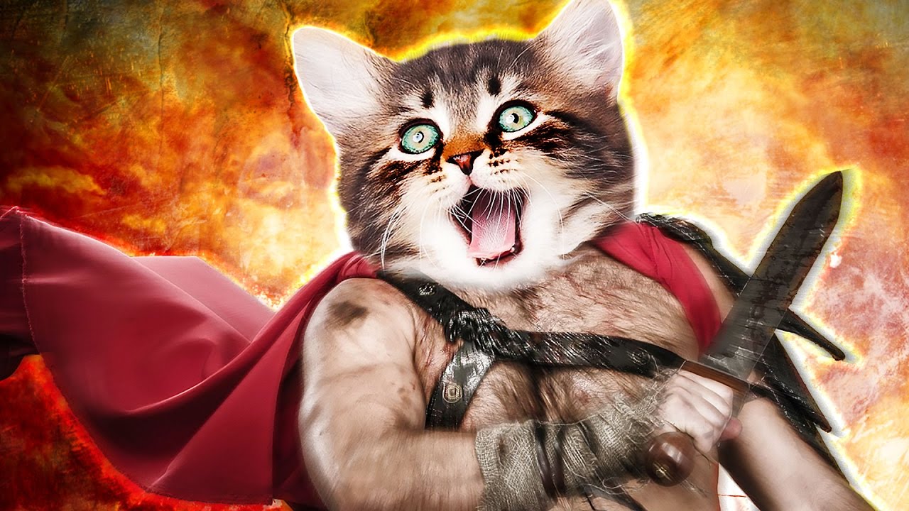 MY UNSTOPPABLE CAT ARMY  Battle Cats  YouTube