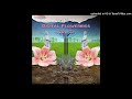 Internet hippy  digital flowerings vol 2
