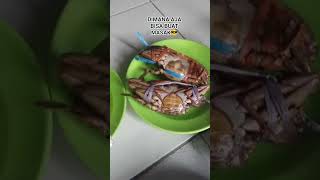 MASAK DIMANA AJA BISA😎#shorts#campingcooking#cooking#masakanrumahan#masaknoribet#cookingathome#crab