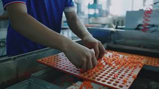 FCST microduct connector production line