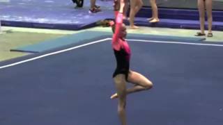 Whitney Bjerken || Firework