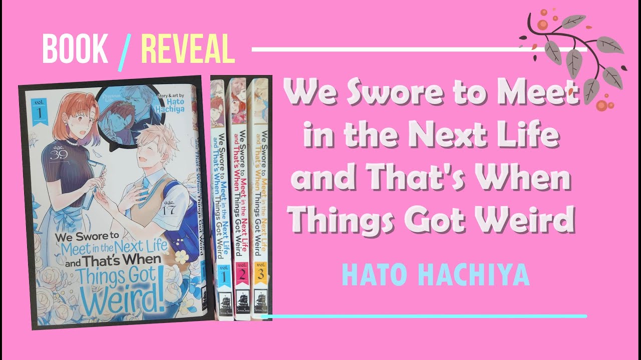 Book Reveal: We Swore to Meet in the Next Life and That's When Things
