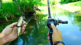 Bass Fishing a TINY Creek w/ GIANT Lures!!!