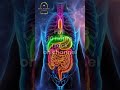 10Hrs of Deep Rest (285hz • 396hz • 528hz blend) #sleep#relaxingmusic #meditationmusic #stressrelief