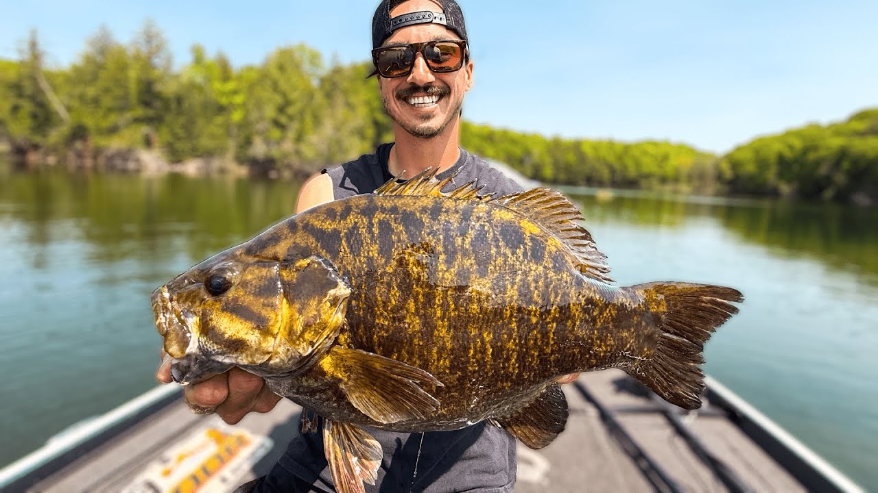 SIGHT Fishing MONSTER Smallmouth Bass In CRYSTAL CLEAR Water!
