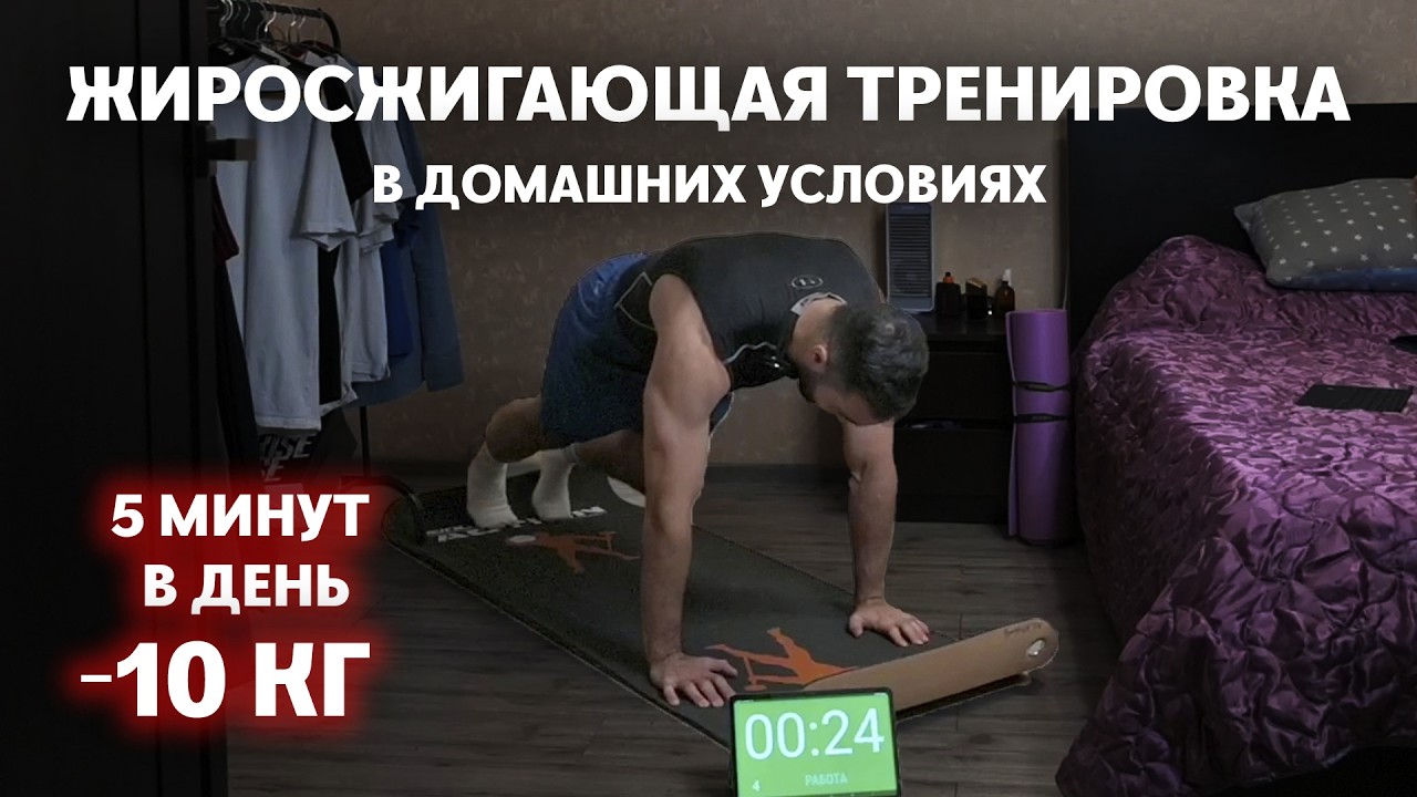��������� Lyka Labs ������������: ����.