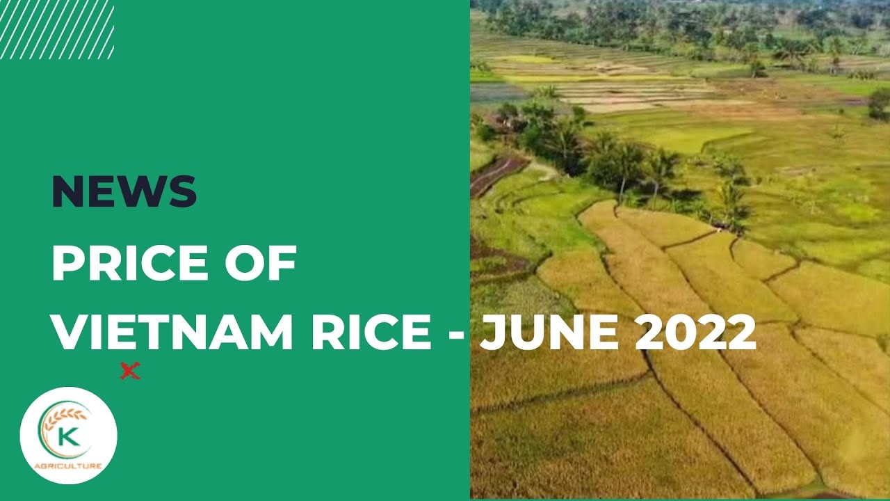 Price of Vietnam rice and Forecast | June 2022